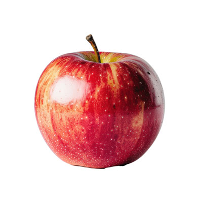りんご（リンゴ・apple）の写真