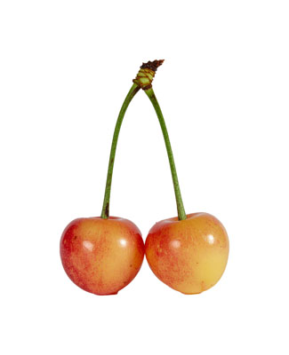 さくらんぼ（サクランボ・cherry）の写真