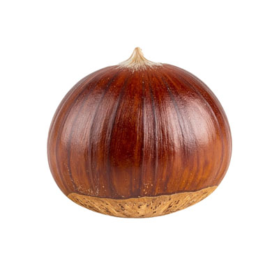 くり（クリ・chestnut）の写真
