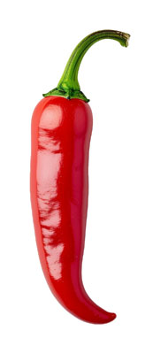 とうがらし（トウガラシ・chili pepper）の写真