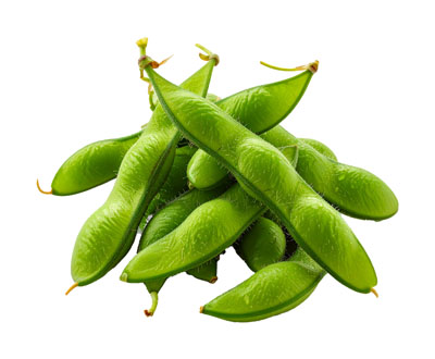 えだまめ（エダマメ・edamame）の写真
