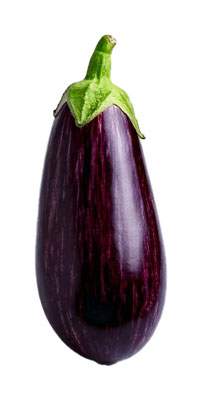 なすび（ナスビ・eggplant）の写真