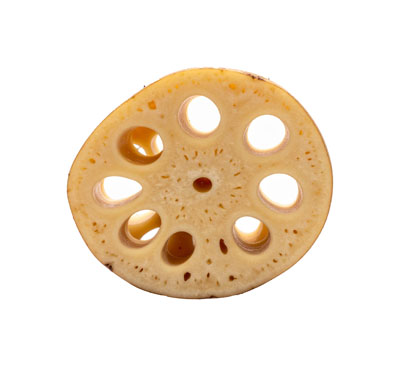 れんこん（レンコン・lotus root）の写真