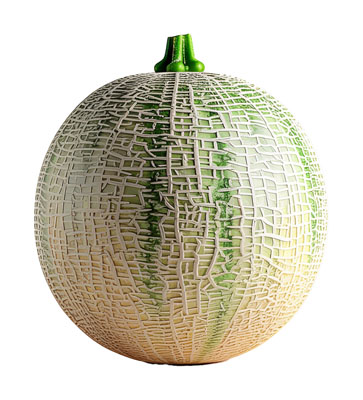 めろん（メロン・melon）の写真