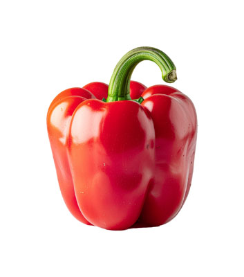 ぱぷりか（パプリカ・paprika）の写真