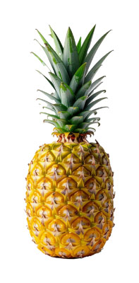 ぱいなっぷる（パイナップル・pineapple）の写真