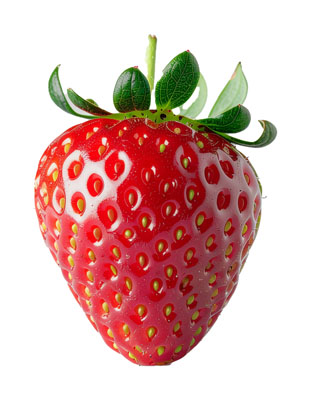 いちご（イチゴ・strawberry）の写真