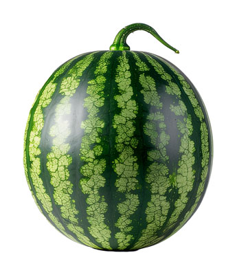 すいか（スイカ・watermelon）の写真