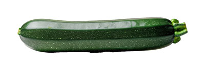 ずっきーに（ズッキーニ・zucchini）の写真