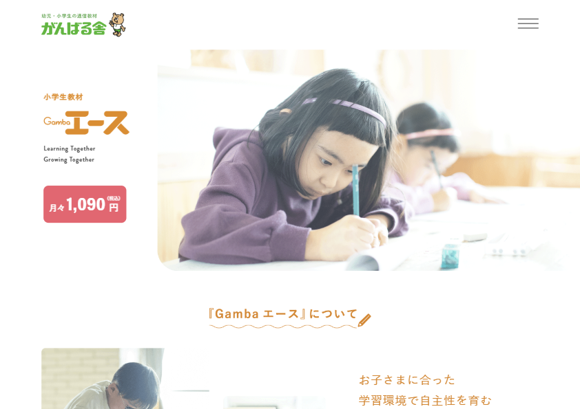 自宅で子ども絵画添削(通信講座12回分)知育検定セット 自宅で子ども絵画添削(通信講座12回分)知育検定セット