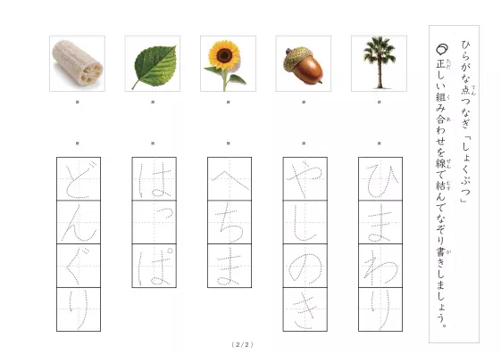 「植物にかかわる物の写真と言葉の線結び」植物にかかわる物の写真と言葉の線結び